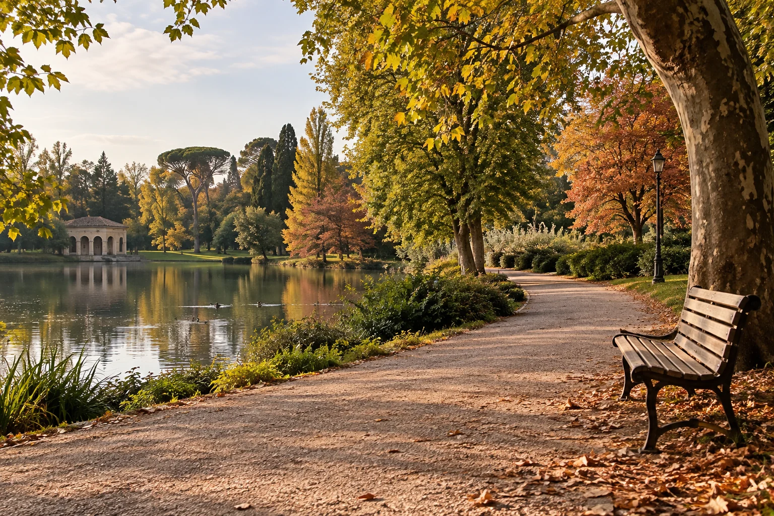 A curving park path, wood bench and pond beneath autumn trees; editorial illustration.